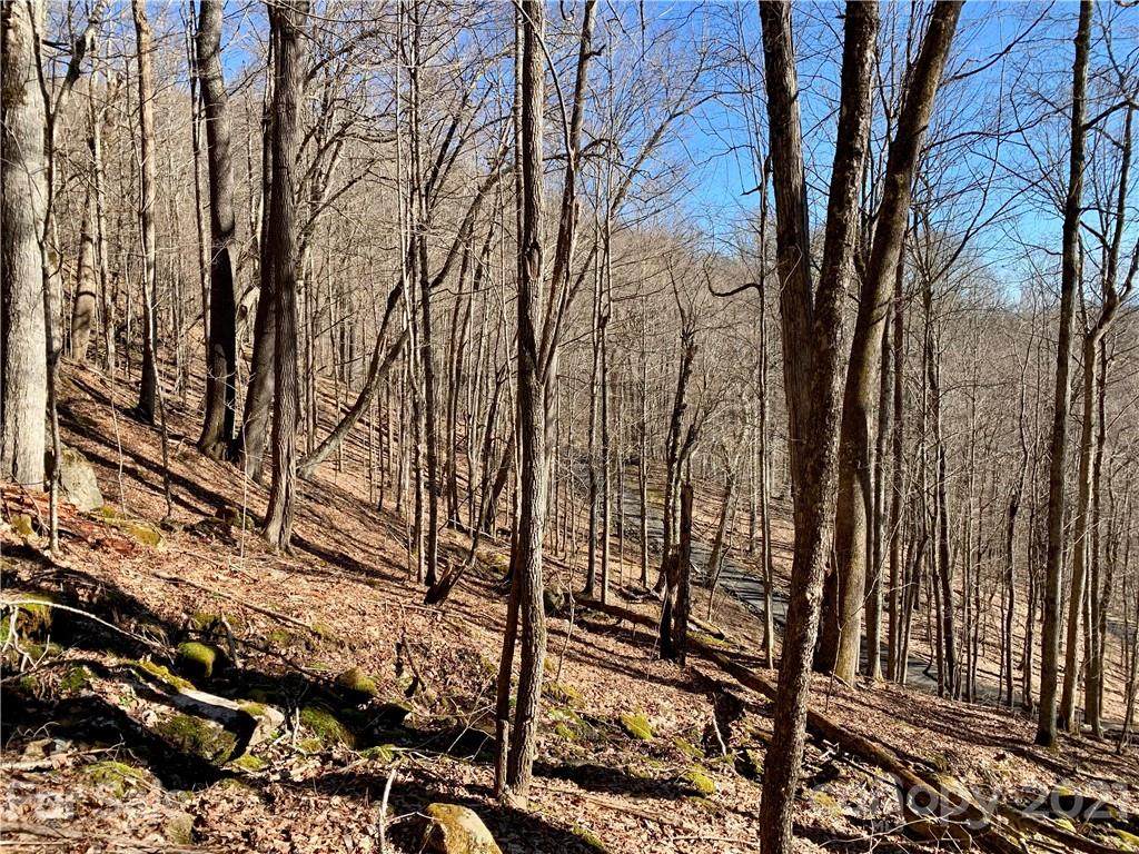 Lot 78 Goldenleaf Road - Photo 1