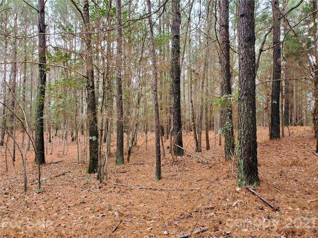 0000 Rock Drive - Photo 1