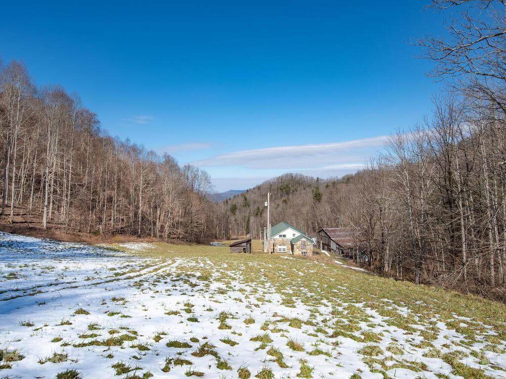 1051 Doug Cove Road - Photo 1