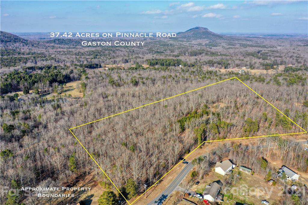 000 Pinnacle Road - Photo 1