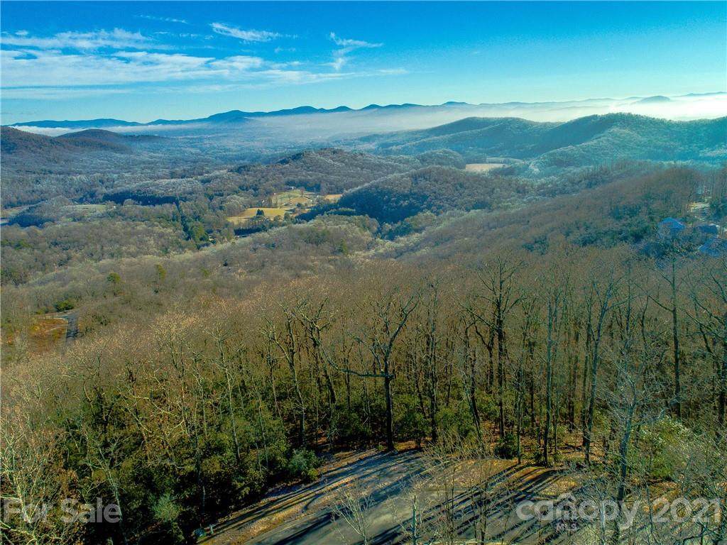 1114 Mills River Way - Photo 1