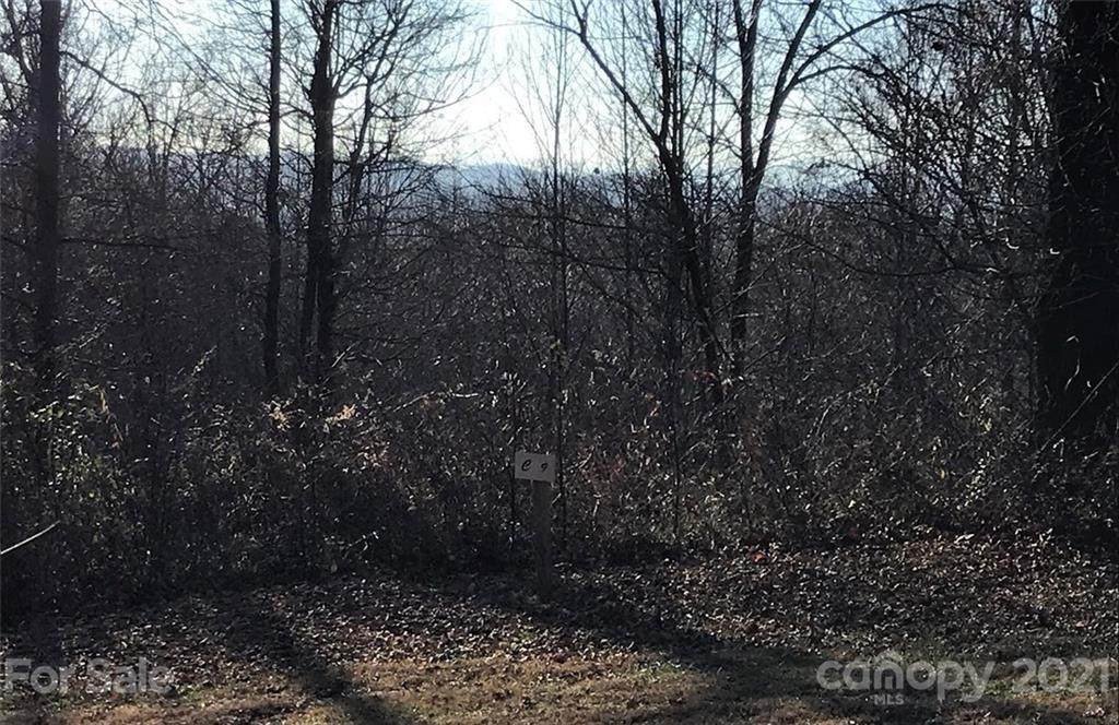 385 Somersby Parkway - Photo 1