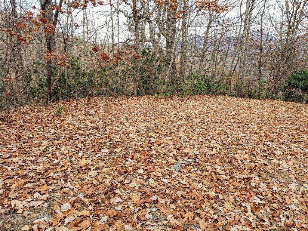 00 Autumn Drive - Photo 1