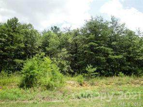 0000 Pine Ridge Road - Photo 1