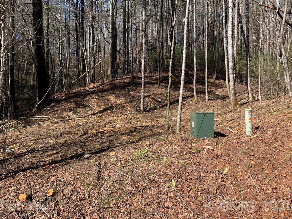 147 Falling Leaves Lane - Photo 1