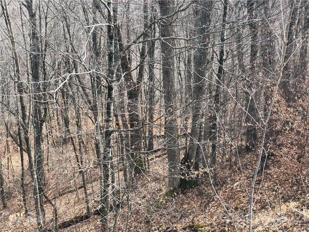 69 Bee Tree Lane - Photo 1