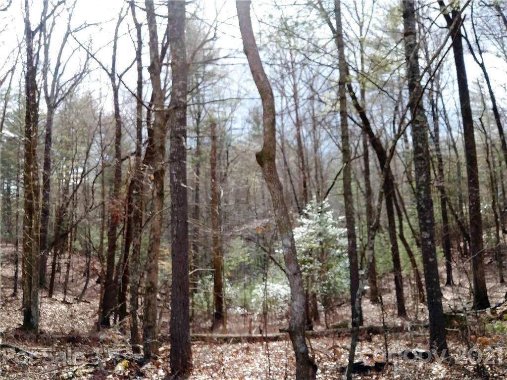 TBD Wellspring Way - Photo 1