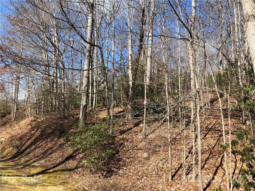 4211 Cove Loop Road - Photo 1
