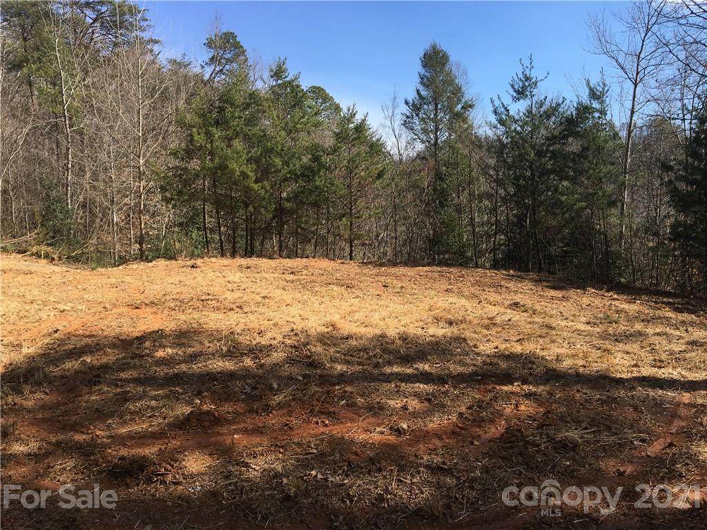 0 Hwy 19 Road - Photo 1