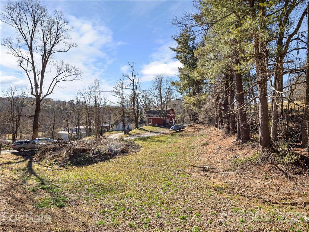 15 Blue Ridge Development Road - Photo 1