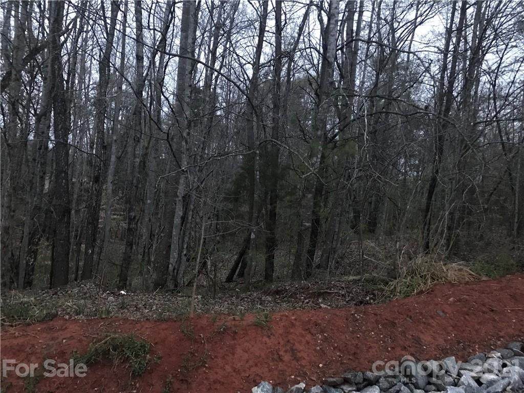 V/L Pine Valley Drive - Photo 1