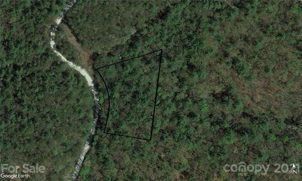 Lot 35 Round Mountain Road - Photo 1