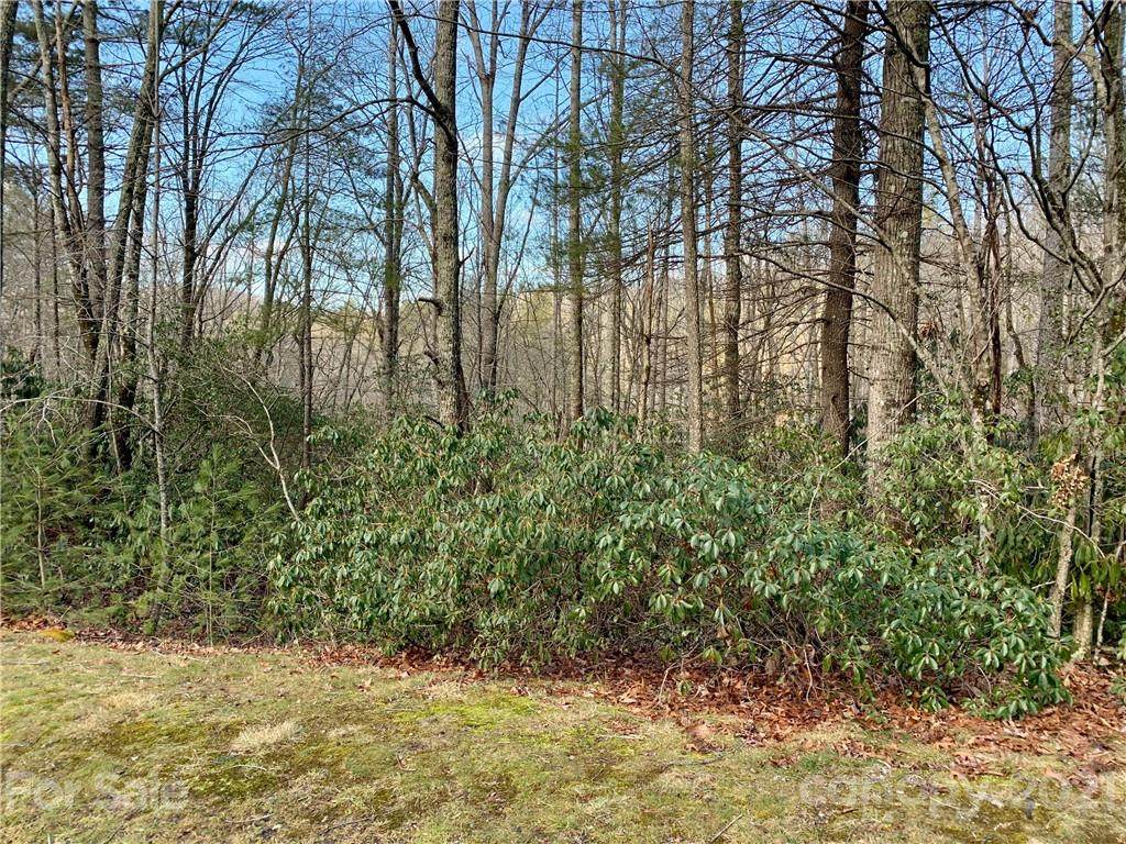 TBD Chattooga Run - Photo 1