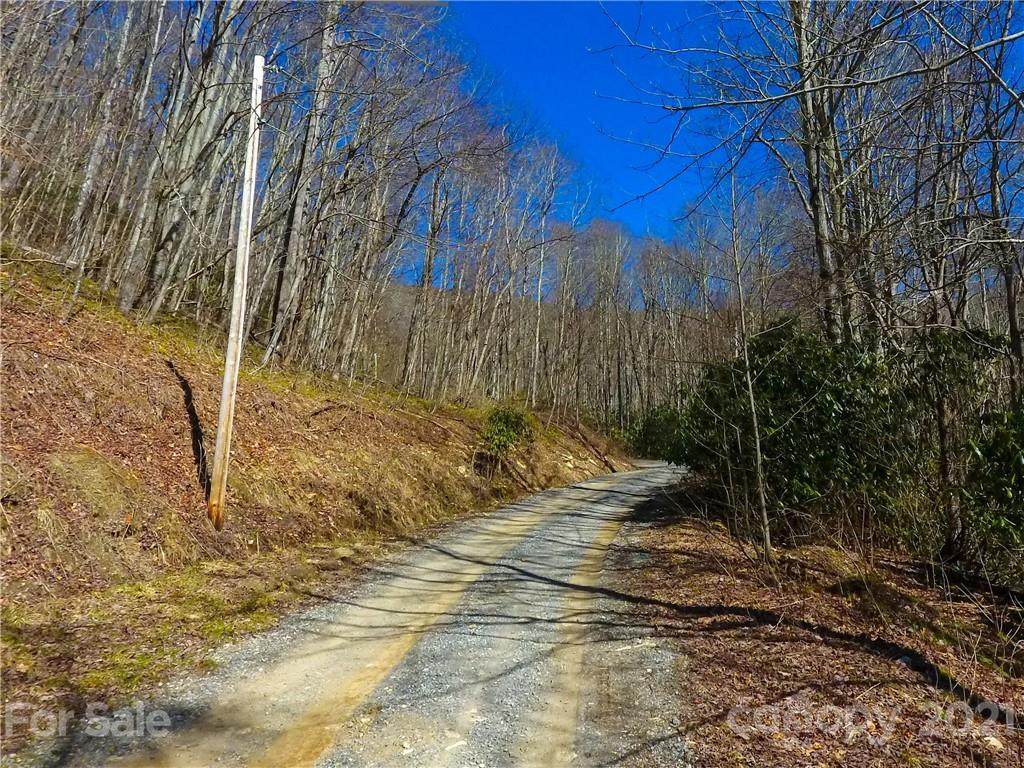 000 Mule Stomp Road - Photo 1