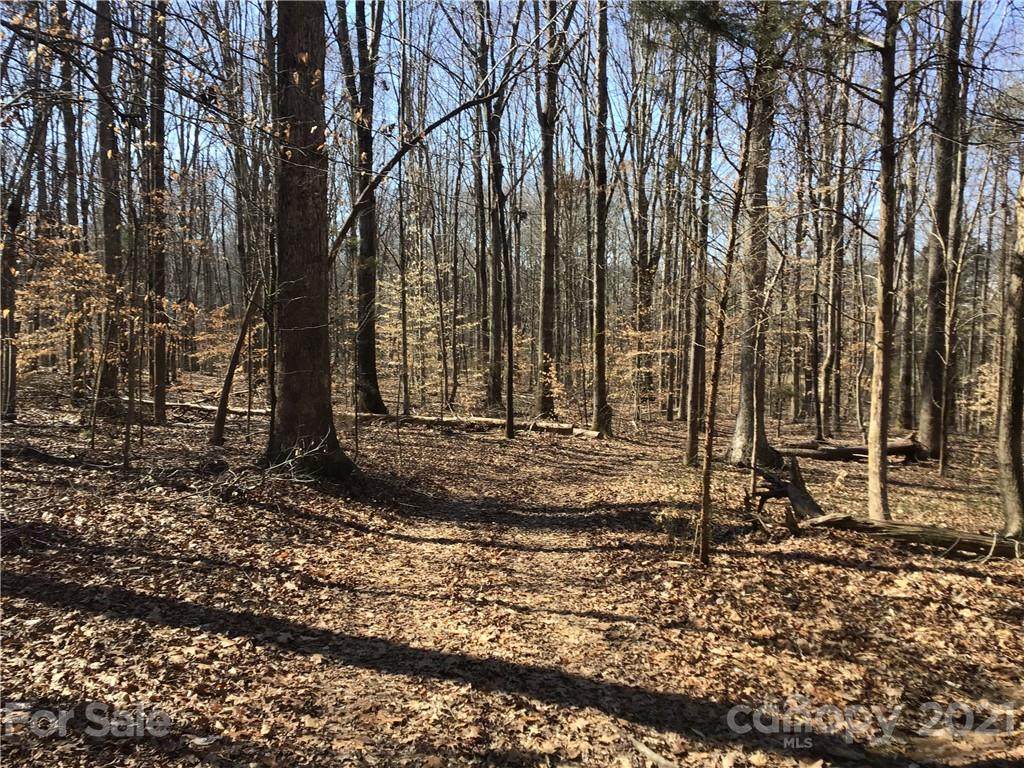 000 Ginger Lane - Photo 1