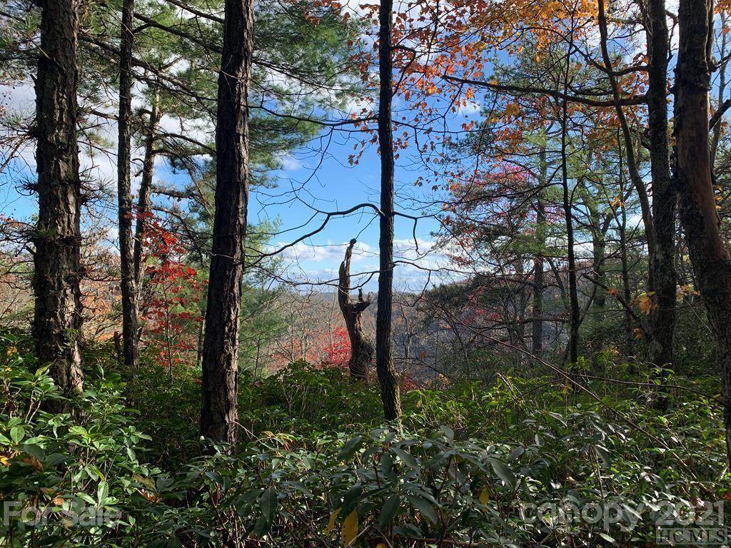 Lot 21 Toxaway Court - Photo 1
