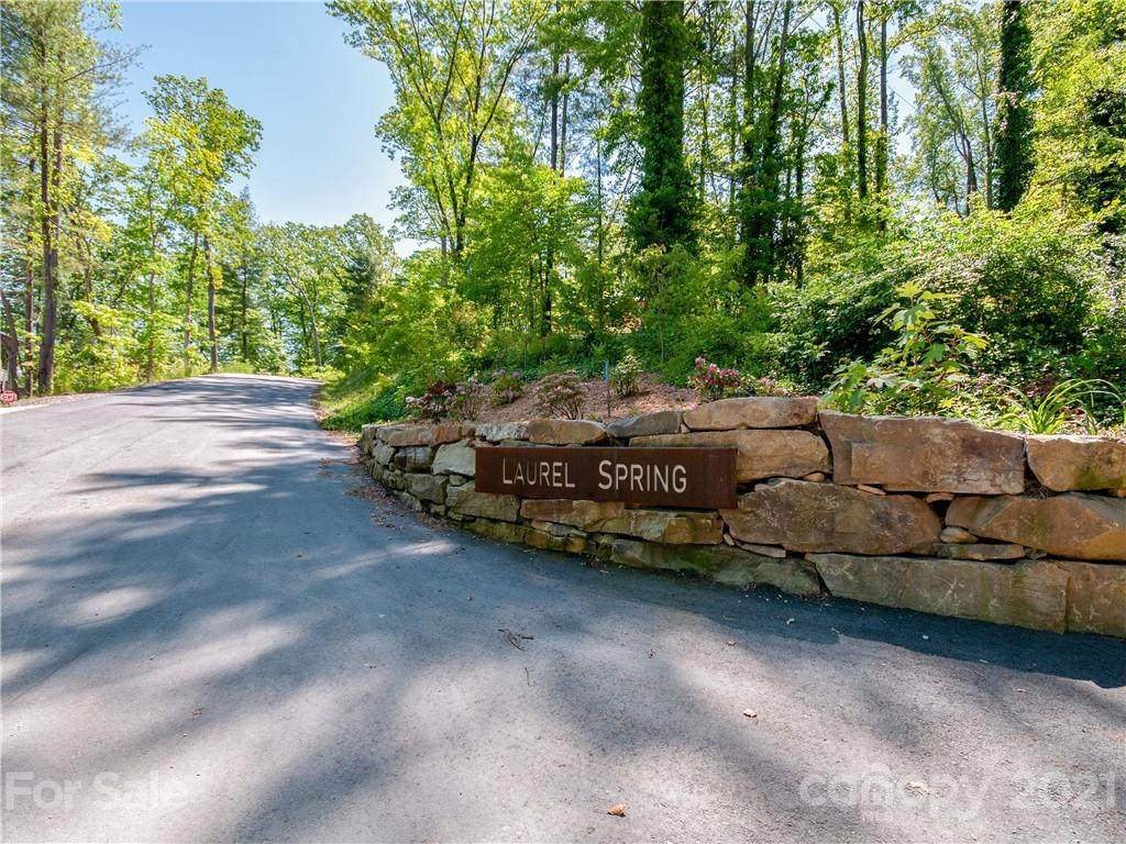 LOT 8 Laurel Spring Lane - Photo 1