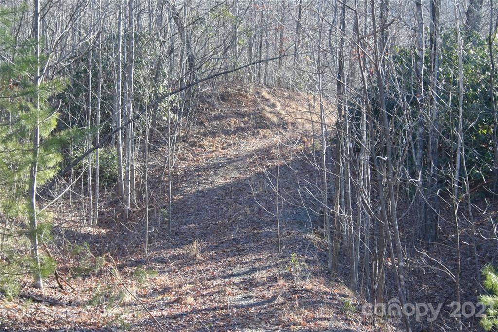 TBD Lake George Road - Photo 1