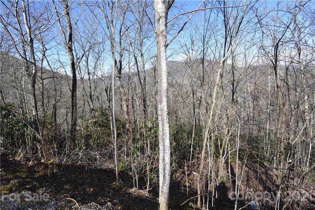 Lot 26 Henry Dingus Way - Photo 1