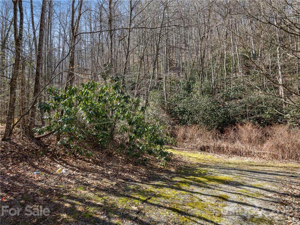 118 & 130 Saw Branch Road - Photo 1