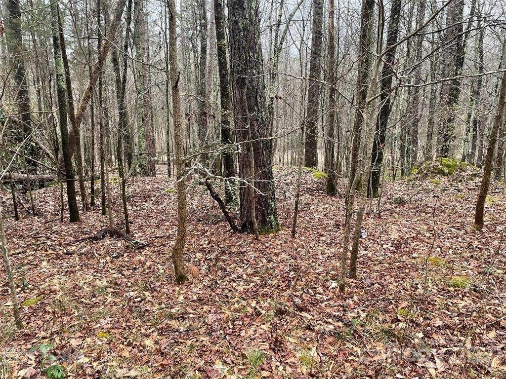 0 Berryhill Drive - Photo 1