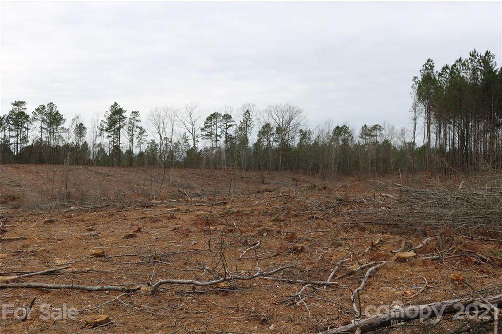 0000 Morgan Sellers Road - Photo 1