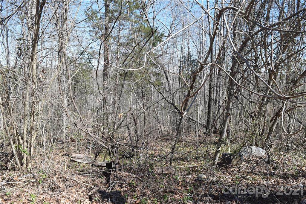 2101 Highland View Lane - Photo 1