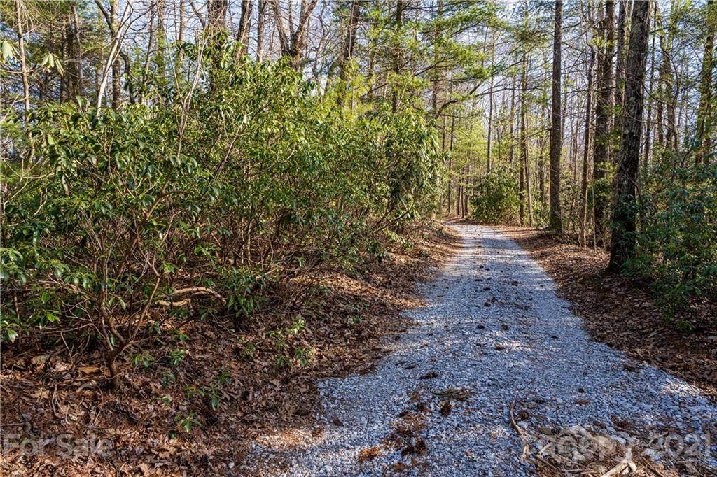 Lot 10 Rhetts Ridge Road - Photo 1
