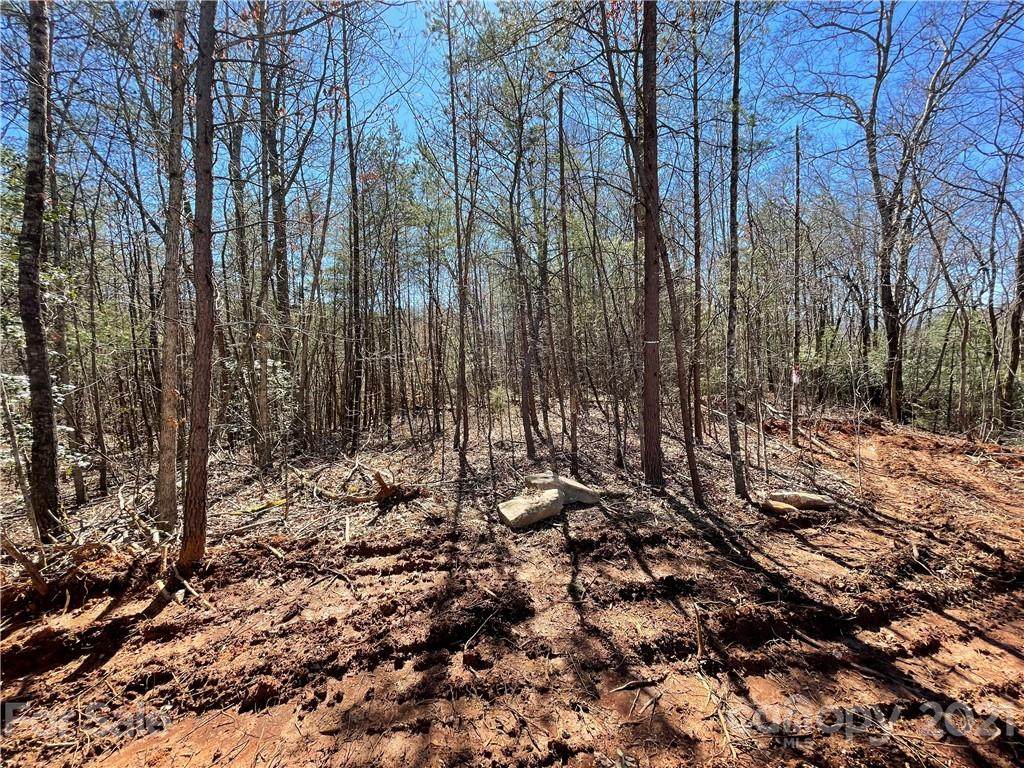 00 Sunshine Acres Drive - Photo 1