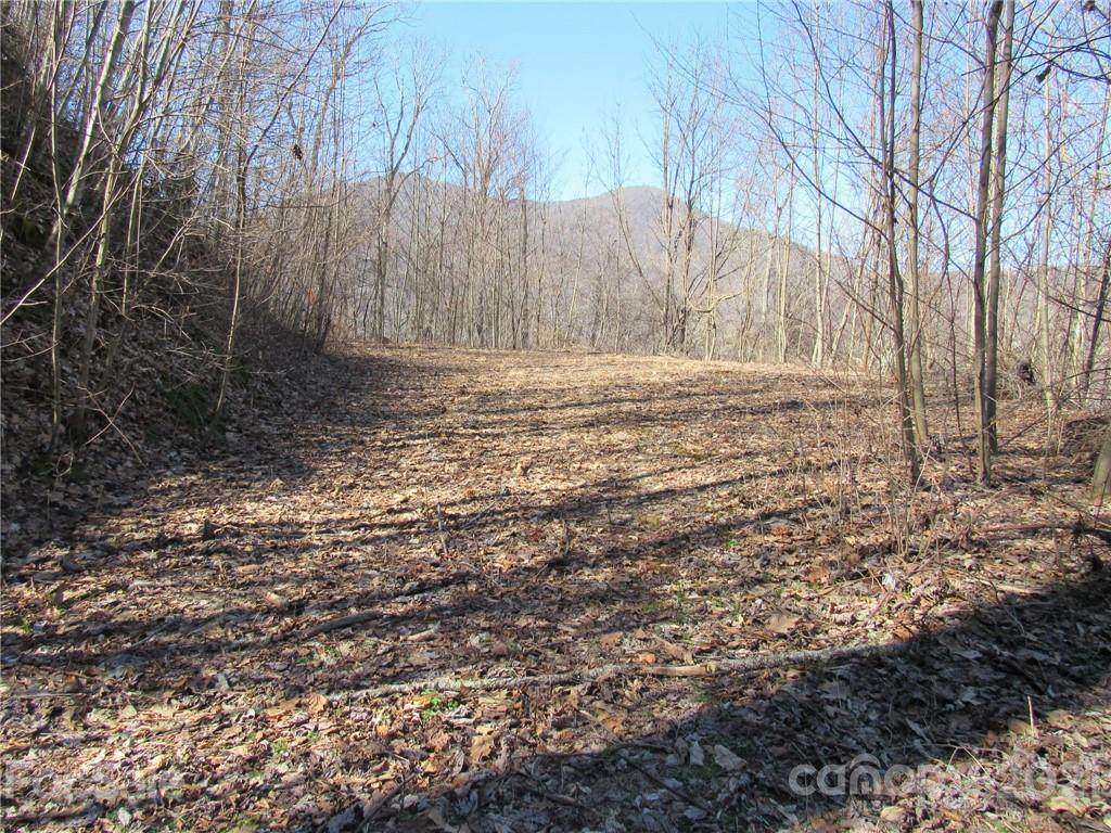Lot #25 Appalachian Trail - Photo 1