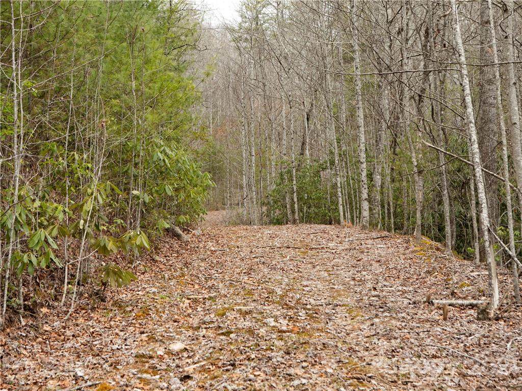 0 Kim Miller Road - Photo 1