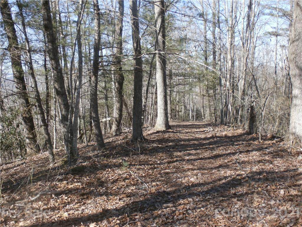 TBD Six Springs Ridge Road - Photo 1