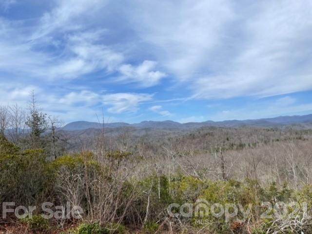 TBD Panther Run Road - Photo 1