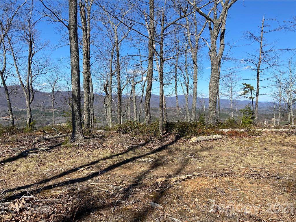 0 Flint Rock Drive - Photo 1
