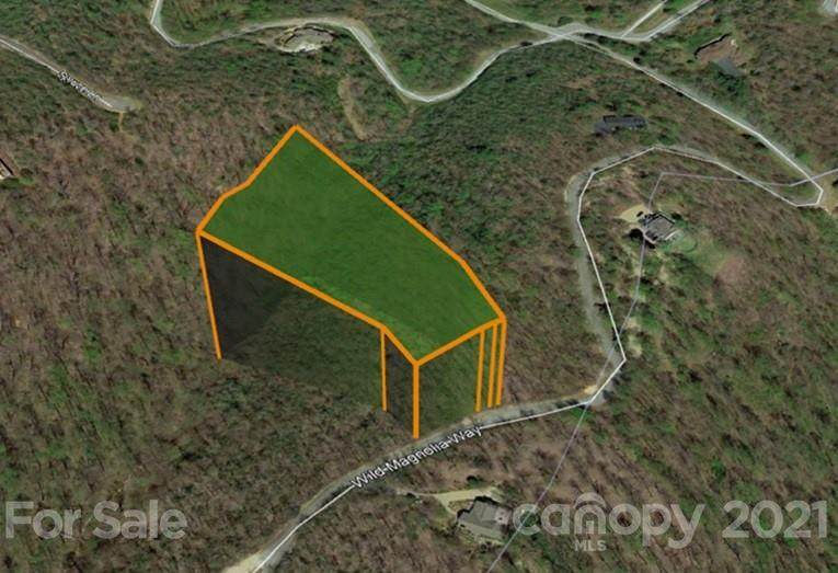 0 Wild Magnolia Way - Photo 1