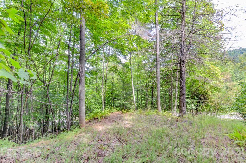 437 Bluemist Way - Photo 1