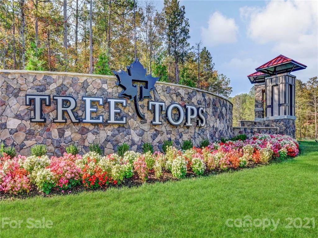 9273 Wind Cave Street - Photo 1