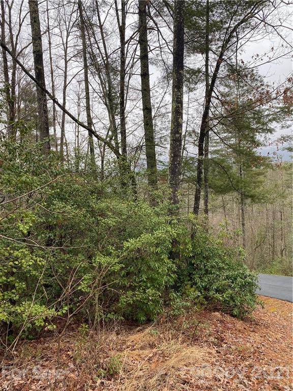 Lot 3 Abby Falls Road - Photo 1