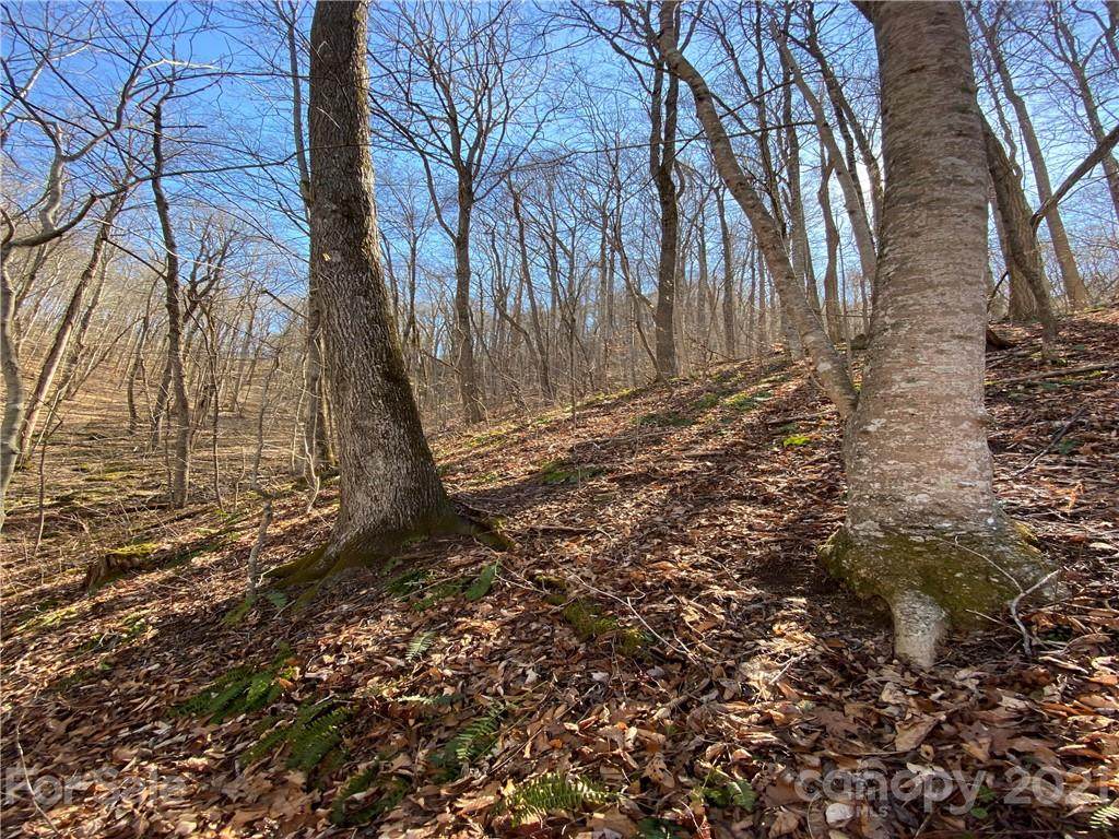 1211 Lake Forest Drive - Photo 1