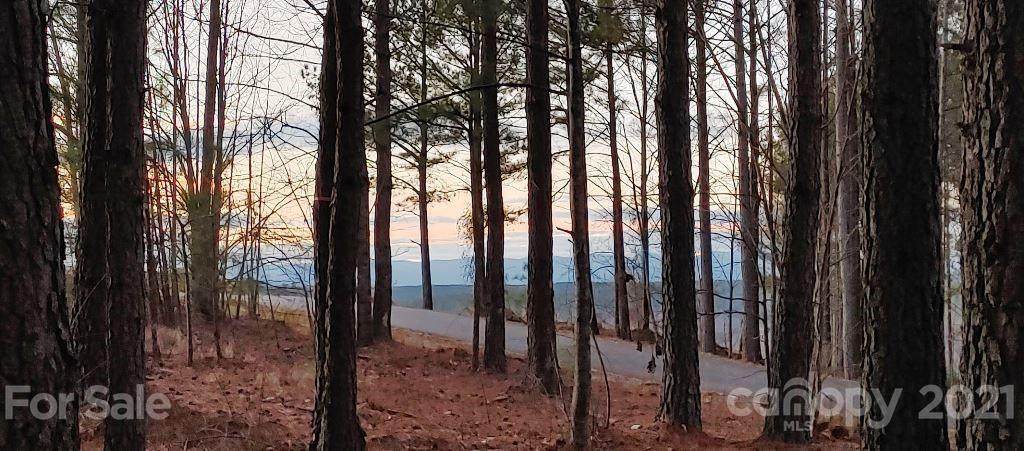 114 Table Rock Trace - Photo 1