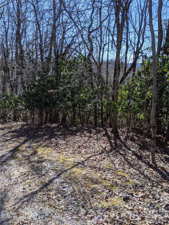 TBD Connestee Trail - Photo 1