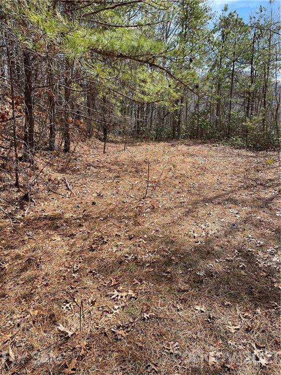 822 Quest Ridge - Photo 1