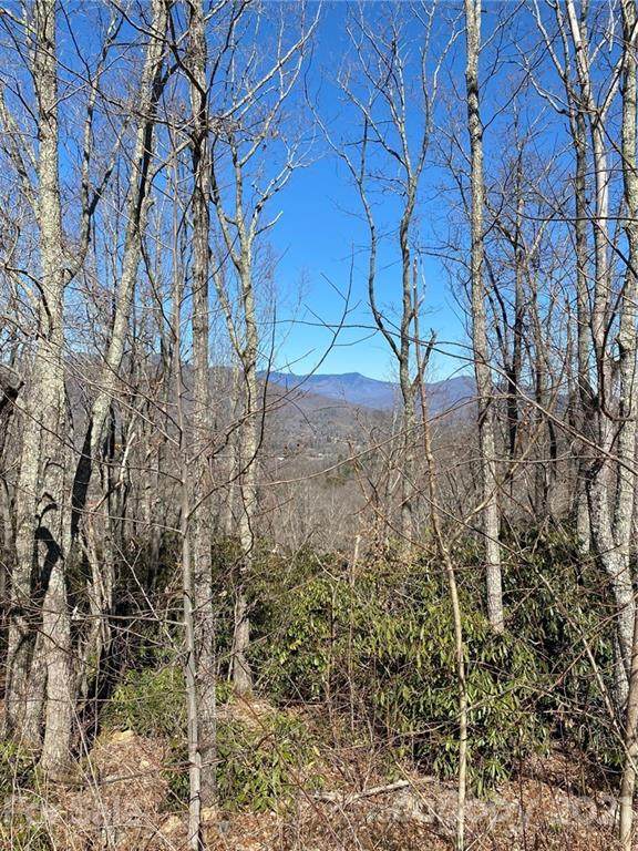 115 High Hickory Trail - Photo 1