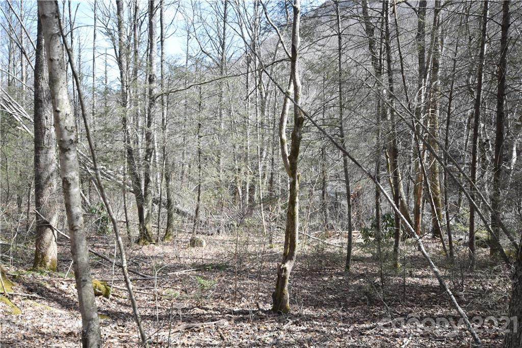 0000 Campbell Creek Road - Photo 1