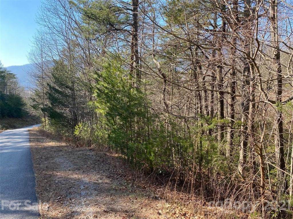 Lot 28 Deer Ridge Trail - Photo 1