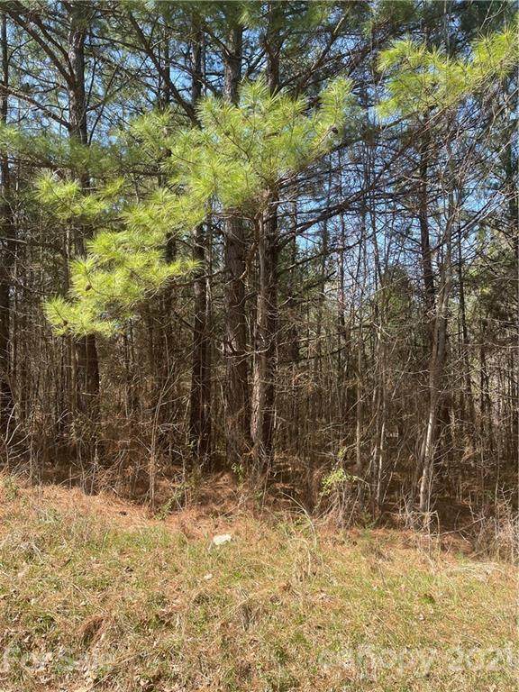 000 River Hill Road - Photo 1