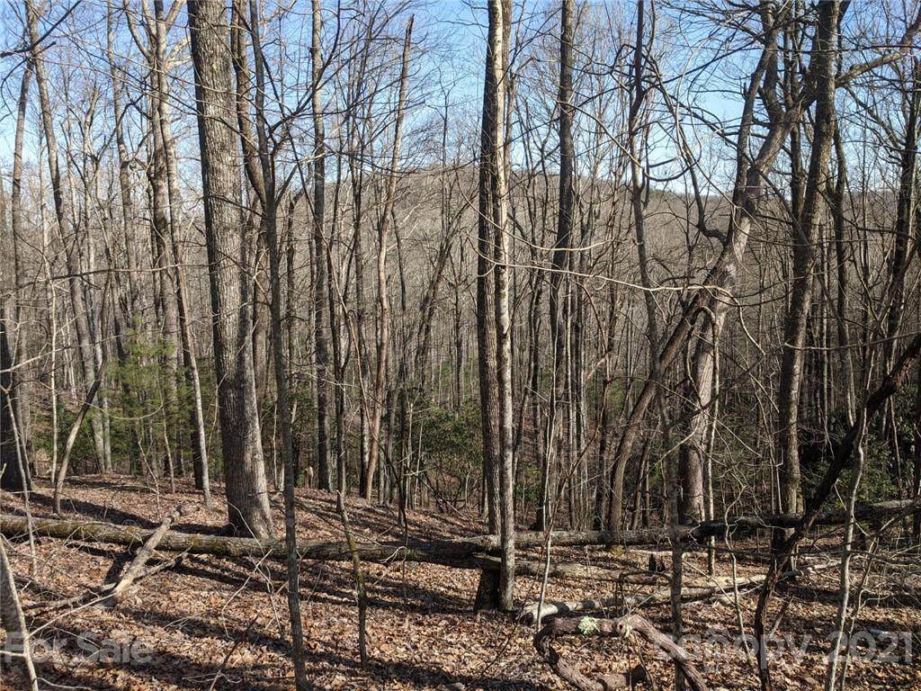 TBD East Fork Road - Photo 1