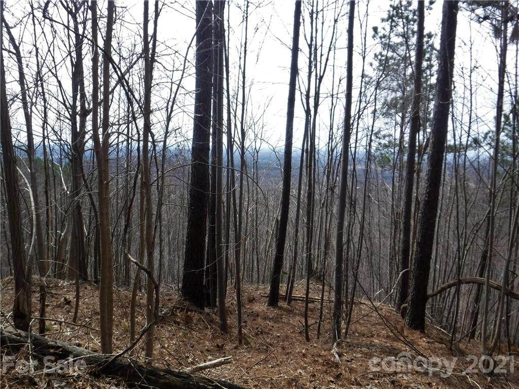 Lot 92 Big Rock Road - Photo 1