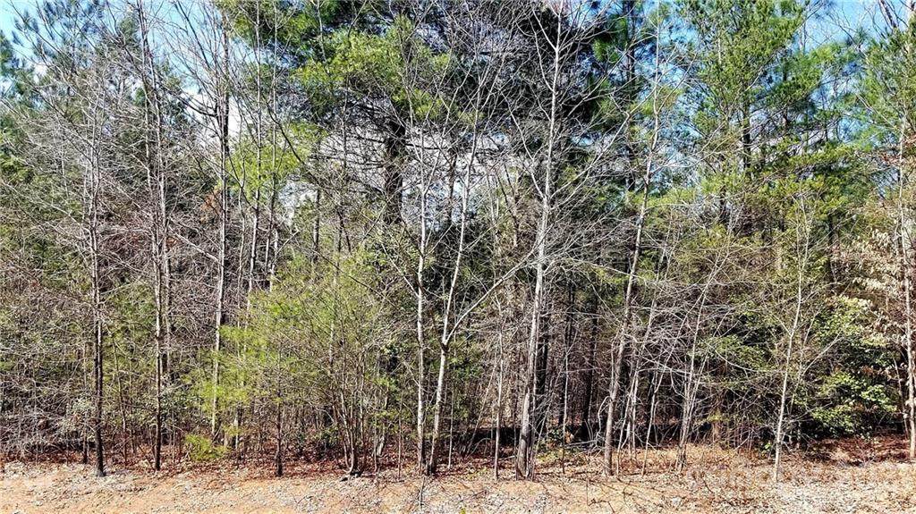 0 Tippecanoe Lane - Photo 1