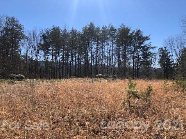 Lot 6 Pointe Lane - Photo 1